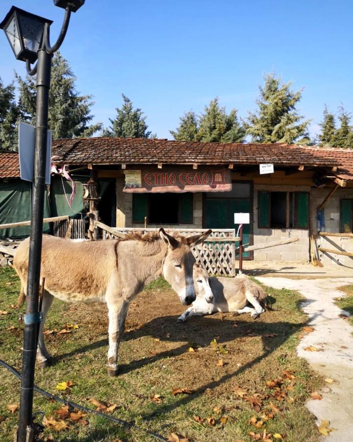 Hotel Etno Selo Timcevski Vojnik ภายนอก รูปภาพ